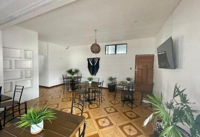 سوییت خانوادگی, Balam Playa   15Th. Ave