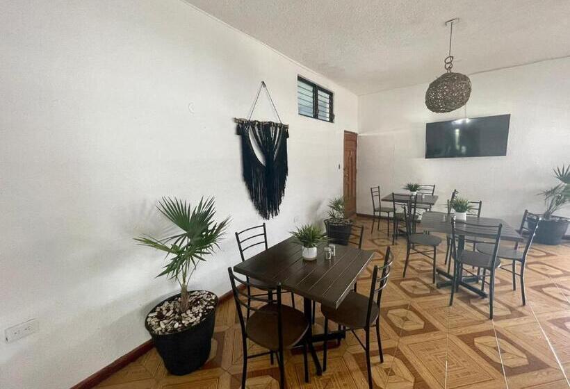 سوئیت با تخت بزرگ, Balam Playa   15Th. Ave