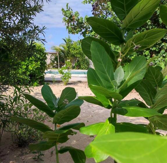 اتاق لوکس با چشم‌انداز باغ, Secret Place Hotel By Hello Tanzania Tours& Safaris