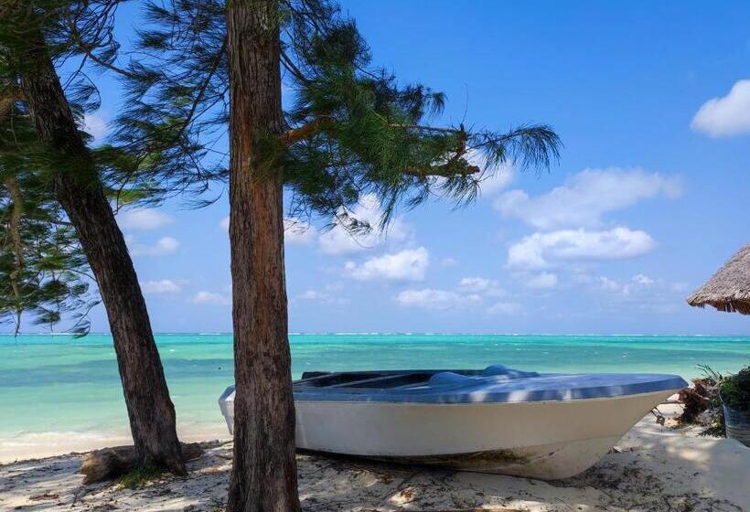اتاق خانوادگی, Secret Place Hotel By Hello Tanzania Tours& Safaris