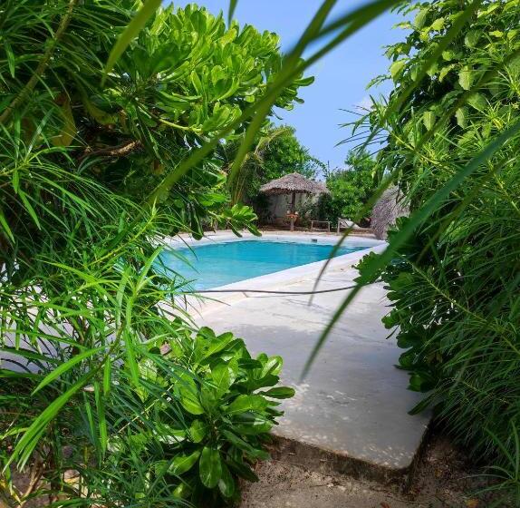 اتاق خانوادگی, Secret Place Hotel By Hello Tanzania Tours& Safaris