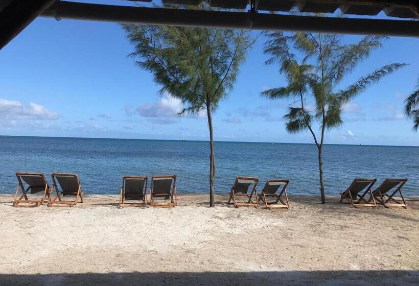 اتاق استاندارد با تخت بزرگ, Bon Vivant Front De Mer   Ile Rodrigues