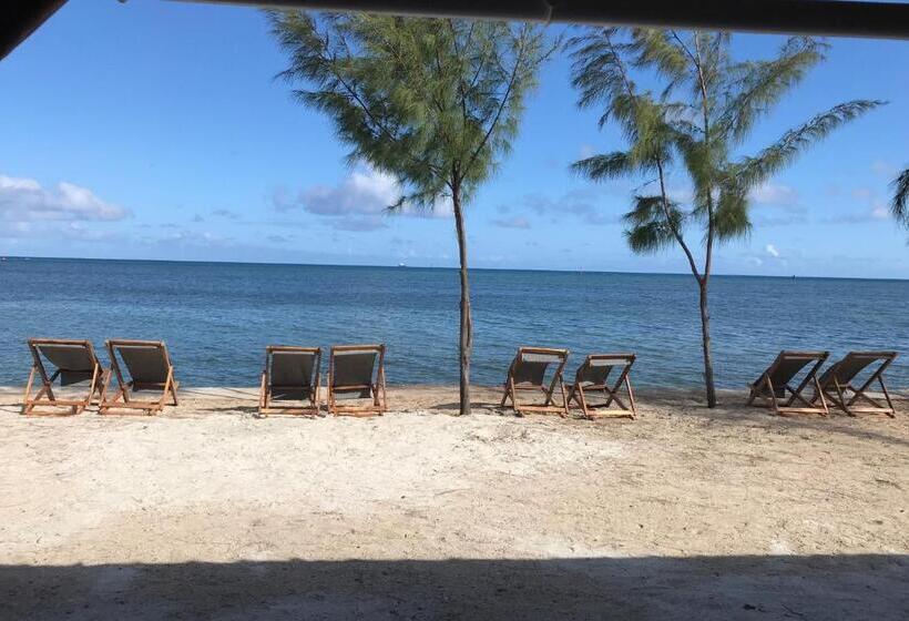 اتاق لوکس با تخت بزرگ, Bon Vivant Front De Mer   Ile Rodrigues