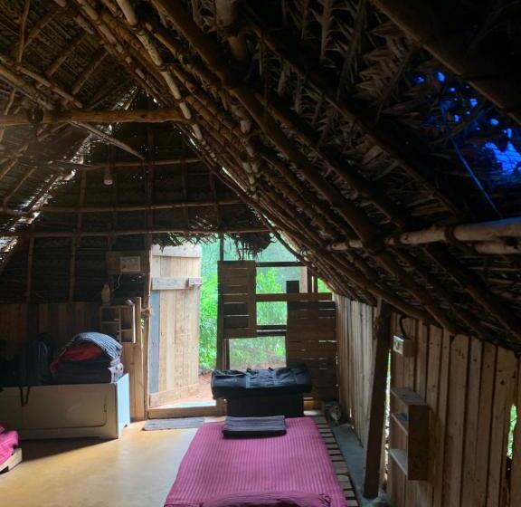 تختخواب در اتاق مشترک, House Of Gowwli