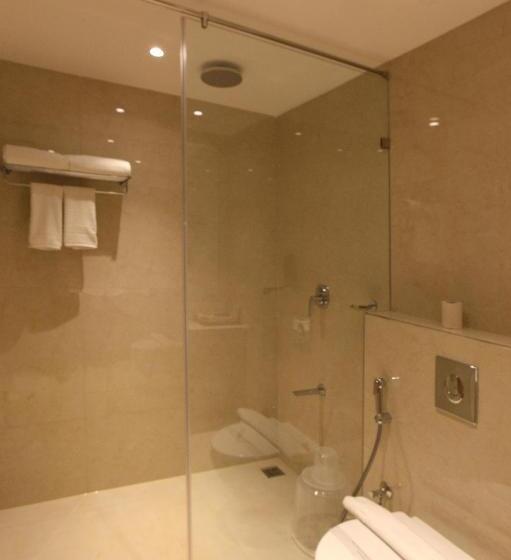 سوئیت با تخت بزرگ, Park Residency Arcadia