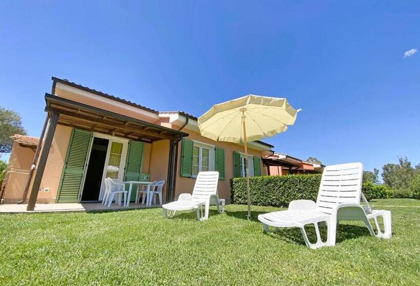 اتاق دوبلکس, Isa Residence With Swimming Pool In Mazzanta At Only 600 Meters From The Beach, Apartments With Air
