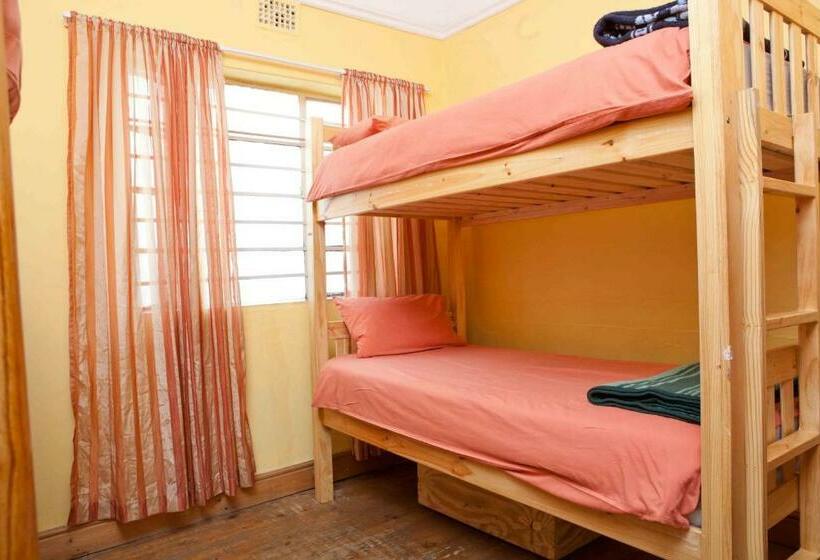 共用房间的床, Green Elephant Backpackers