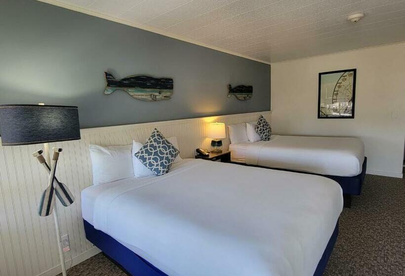 اتاق استاندارد, Circle Hotel Fairfield