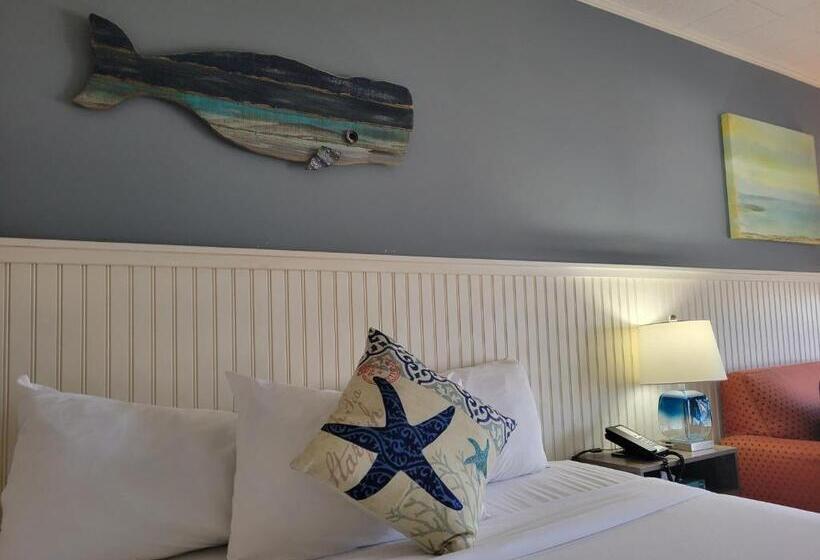 اتاق استاندارد با تخت بزرگ, Circle Hotel Fairfield