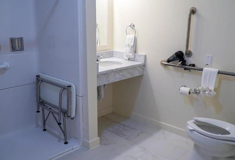 اتاق استاندارد با تخت بزرگ برای معلولان, Circle Hotel Fairfield