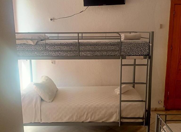 اتاق استاندارد چهار تخته, Sevilladream