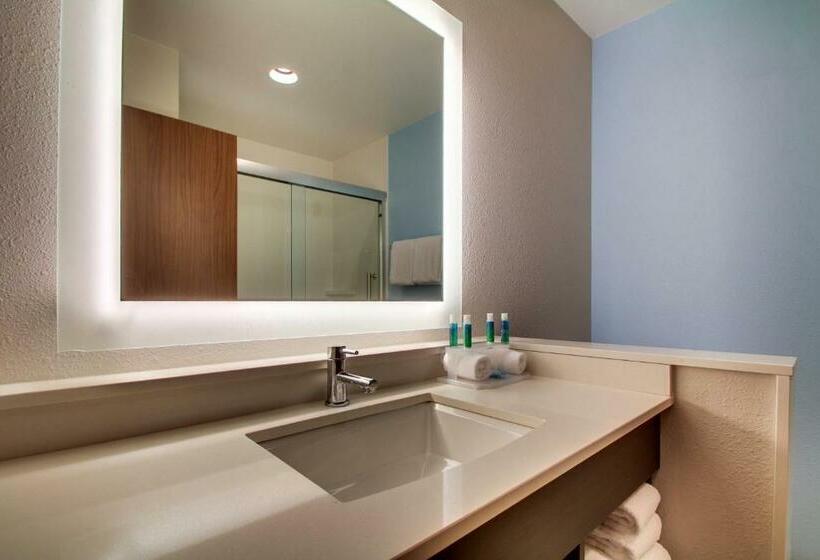 اتاق استاندارد, Holiday Inn Express & Suites Charleston Ne Mt Pleasant Us17, An Ihg