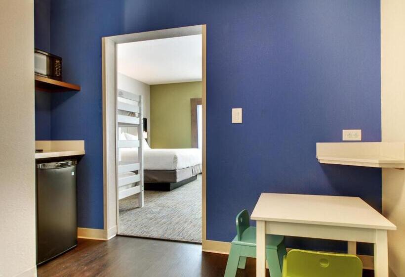 سوئیت با تخت بزرگ, Holiday Inn Express & Suites Charleston Ne Mt Pleasant Us17, An Ihg