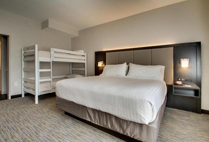 سوئیت با تخت بزرگ, Holiday Inn Express & Suites Charleston Ne Mt Pleasant Us17, An Ihg