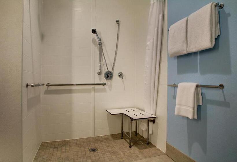 اتاق استاندارد با تخت بزرگ برای معلولان, Holiday Inn Express & Suites Charleston Ne Mt Pleasant Us17, An Ihg