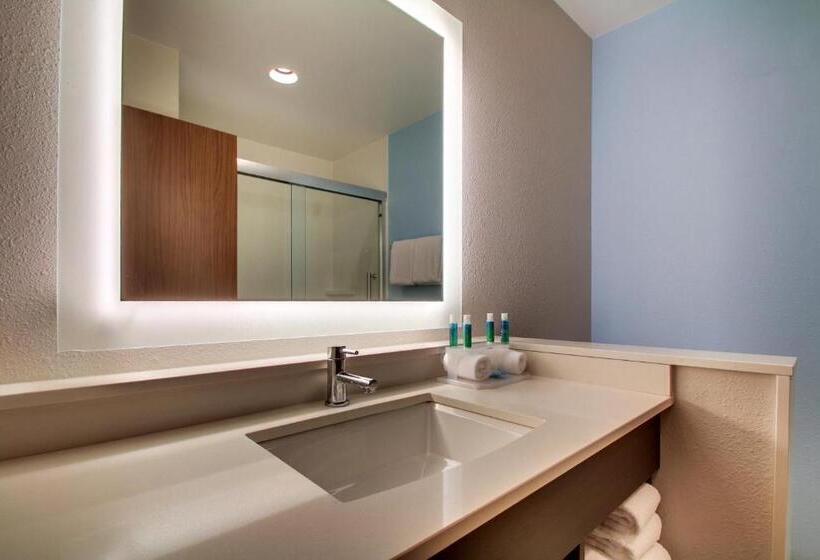 سوئیت برای معلولان, Holiday Inn Express & Suites Charleston Ne Mt Pleasant Us17, An Ihg