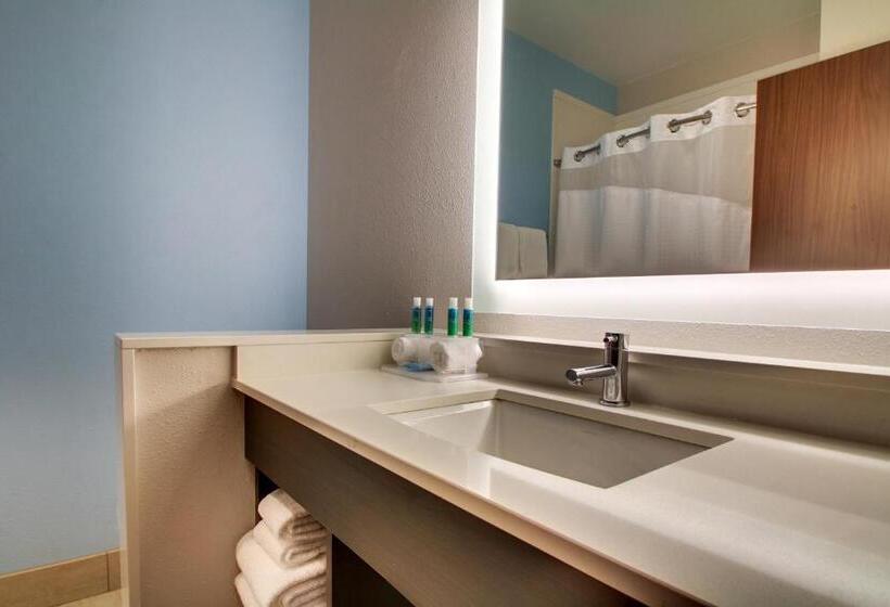 سوئیت برای معلولان, Holiday Inn Express & Suites Charleston Ne Mt Pleasant Us17, An Ihg