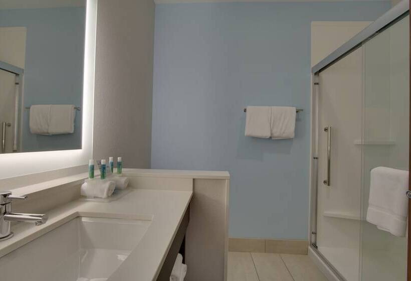 اتاق استاندارد, Holiday Inn Express & Suites Charleston Ne Mt Pleasant Us17, An Ihg