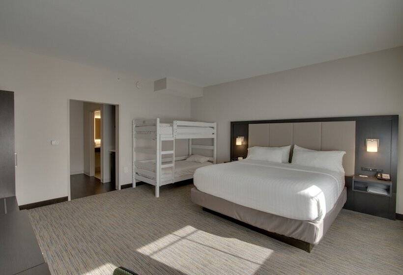 اتاق استاندارد, Holiday Inn Express & Suites Charleston Ne Mt Pleasant Us17, An Ihg