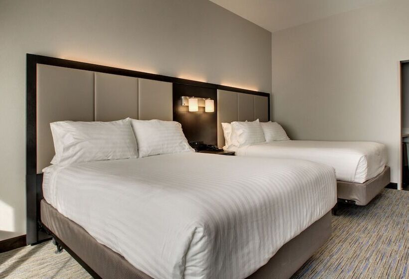 سوئیت برای معلولان, Holiday Inn Express & Suites Charleston Ne Mt Pleasant Us17, An Ihg