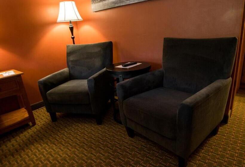 اتاق استاندارد با تخت دو نفره بزرگ, Silver Moon Inn