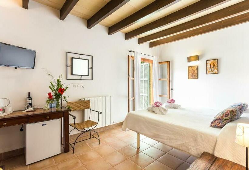 اتاق استاندارد, Finca Son Ametler