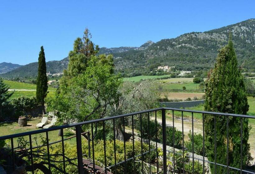 اتاق استاندارد با تراس, Finca Son Ametler