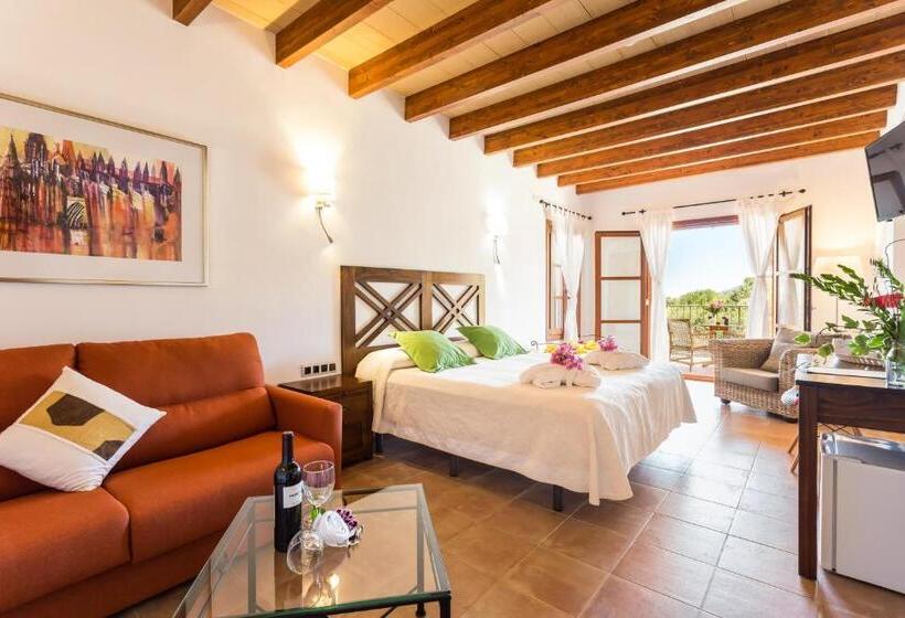 سوئیت جونیور با تراس, Finca Son Ametler