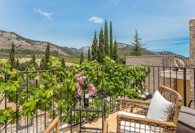 اتاق استاندارد با تراس, Finca Son Ametler