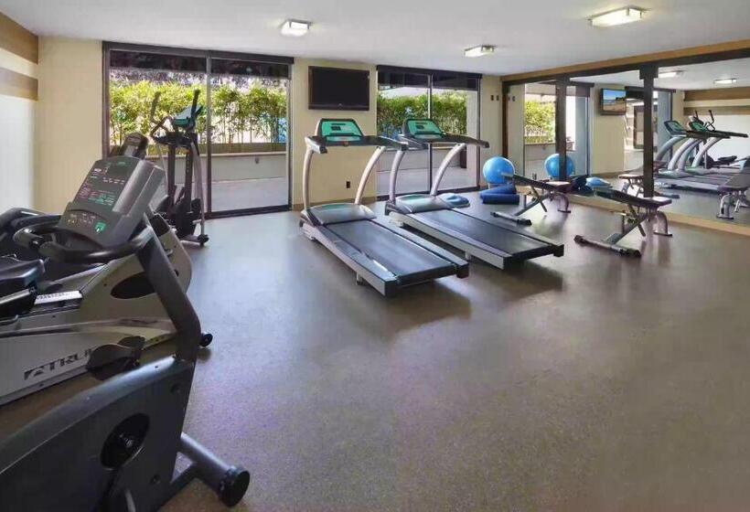 اتاق اجرایی, Beautiful Unit At The Heart Of Disneyland Ca