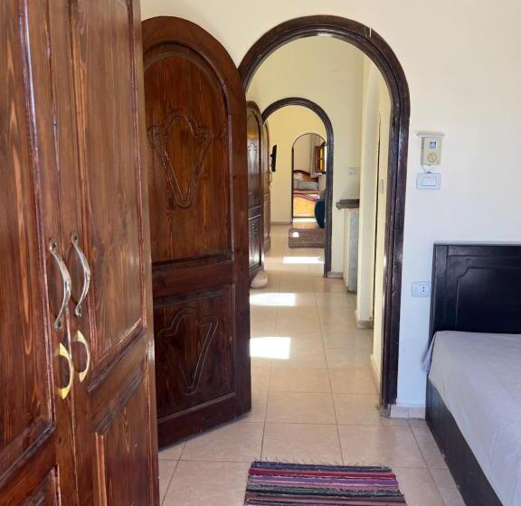 آپارتمان 1 خوابه, Malaz Motel