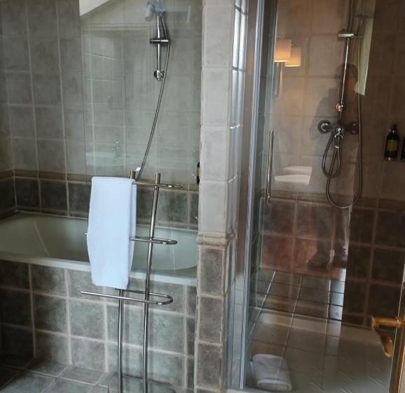 اتاق لوکس خانوادگی, Maison Barón De La Galleta B&b