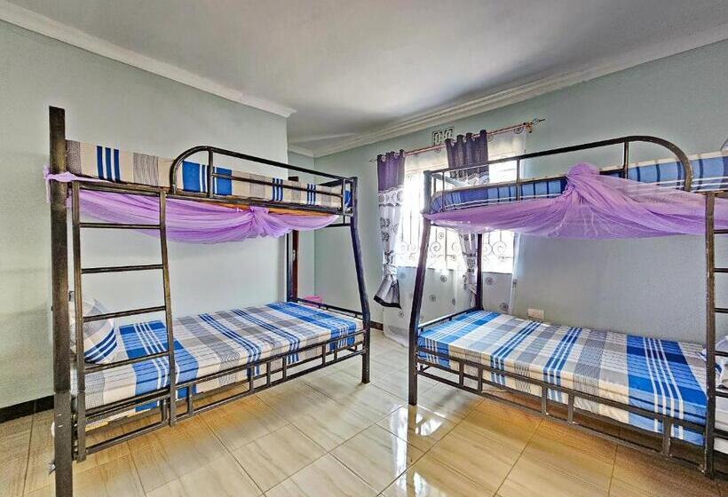 اتاق استاندارد چهار تخته, Focus Mawio Hostel