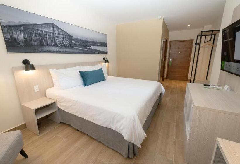 اتاق استاندارد با تخت بزرگ برای معلولان, Wyndham Garden El Morro Montecristi