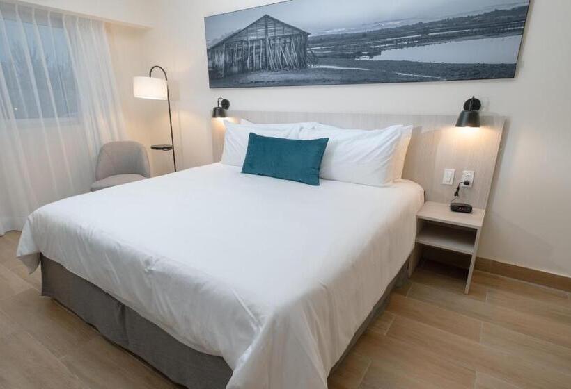 اتاق استاندارد با تخت بزرگ برای معلولان, Wyndham Garden El Morro Montecristi