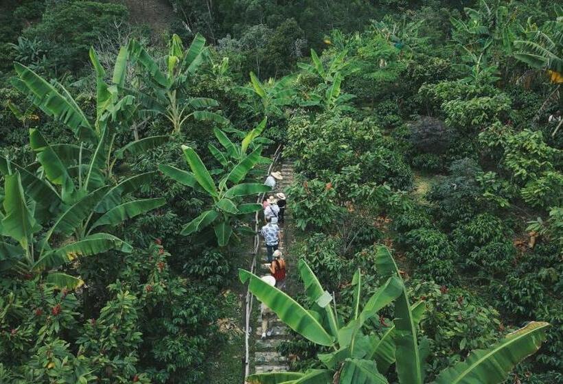 اتاق استاندارد, La Perla Finca Hotel  Cabaña Esmeralda