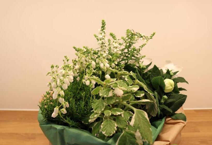 آپارتمان سوپریور 1 خوابه, Altstadtjuwel