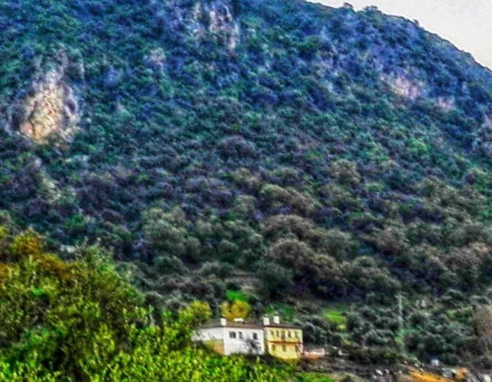 اتاق استاندارد, La Buhardilla De Torrecillas
