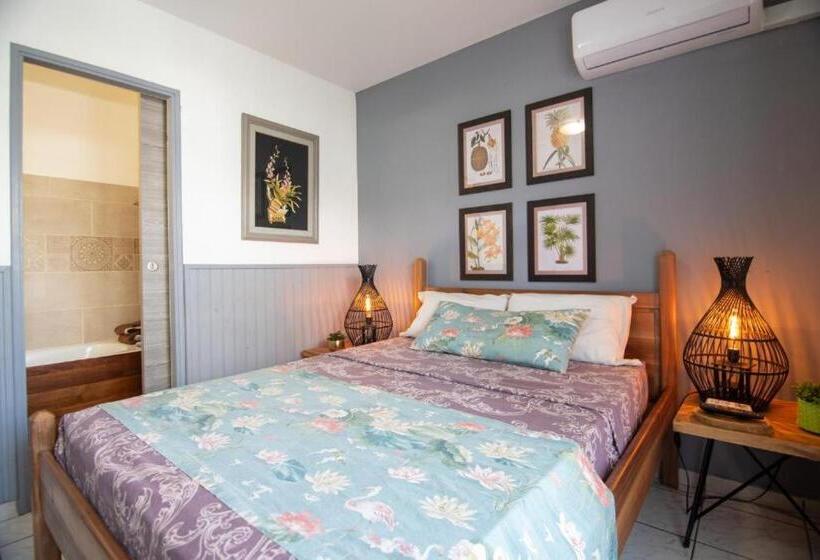 اتاق استاندارد با بالکن, 1a   Chambres Et Appartements Au Calme   Centre St Denis   Barachois