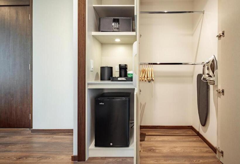 اتاق استاندارد برای معلولان, Holiday Inn  Quito Airport, An Ihg