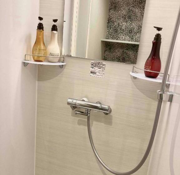 اتاق استاندارد, Dormy Inn Premium Ginza