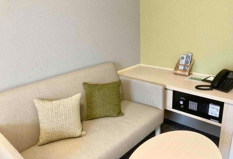 اتاق استاندارد, Dormy Inn Premium Ginza