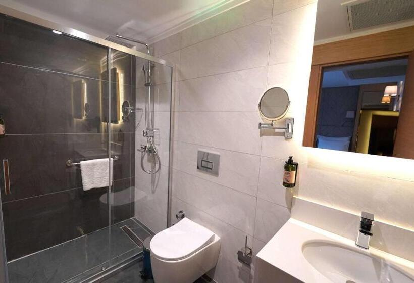 اتاق استاندارد, Days Inn By Wyndham Istanbul Bomonti