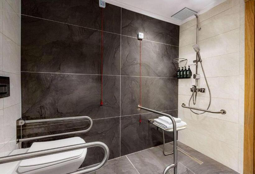 اتاق استاندارد برای معلولان, Days Inn By Wyndham Istanbul Bomonti