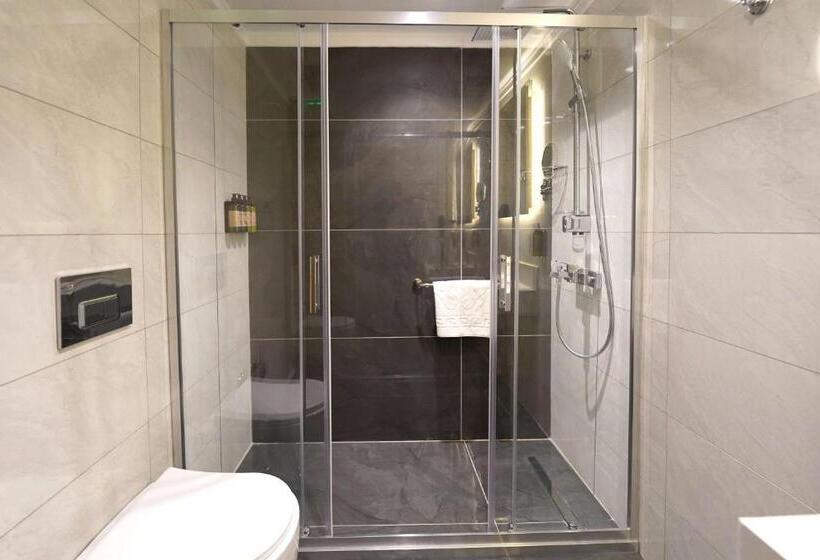 اتاق استاندارد با تخت بزرگ, Days Inn By Wyndham Istanbul Bomonti