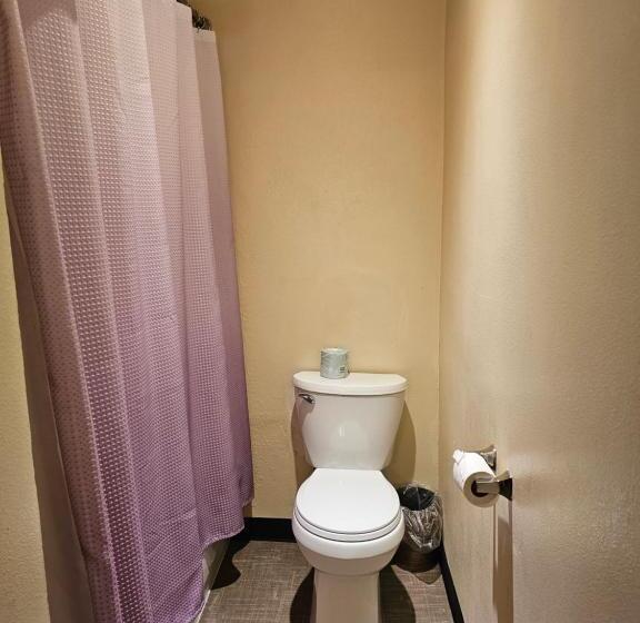 اتاق استاندارد, Cle Elum Travelers Inn