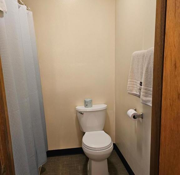 اتاق استاندارد با تخت بزرگ, Cle Elum Travelers Inn