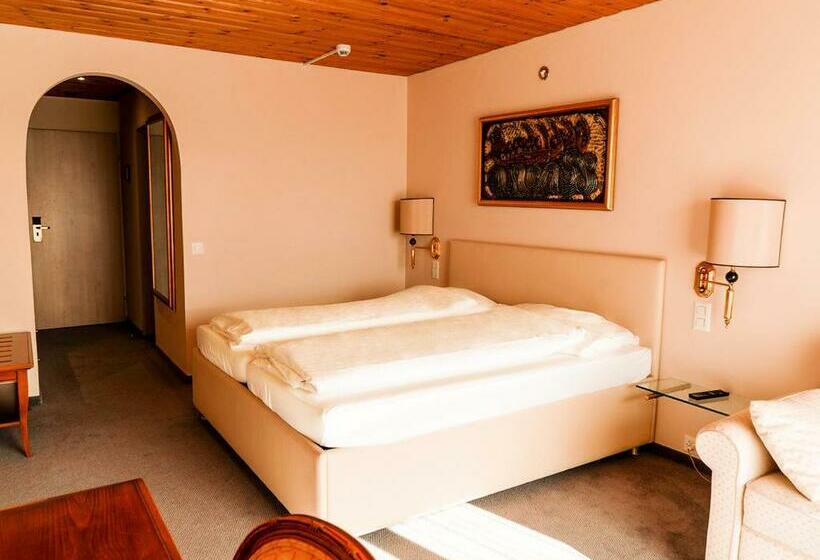 اتاق استاندارد با چشم‌انداز کوهستان, Hillsite Smart Hotel Flims