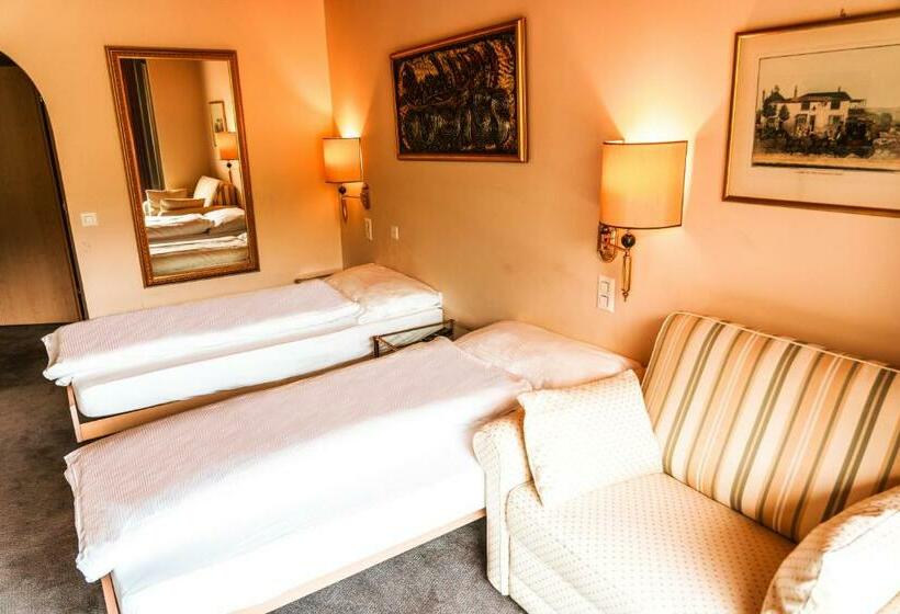 اتاق استاندارد با چشم‌انداز کوهستان, Hillsite Smart Hotel Flims