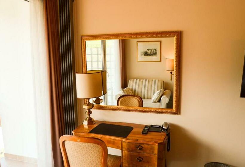 اتاق استاندارد با چشم‌انداز کوهستان, Hillsite Smart Hotel Flims